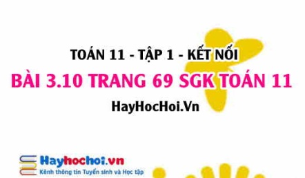 Giải bài 3.10 trang 69 Toán 11 tập 1 SGK Kết nối tri thức